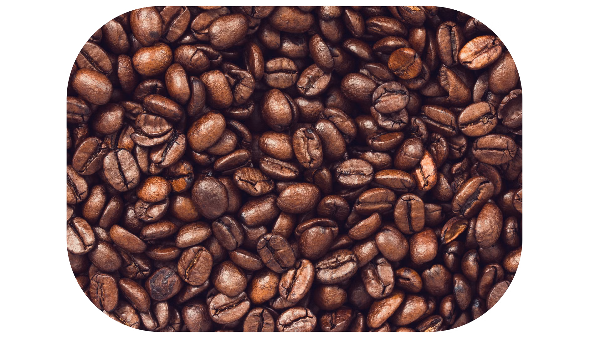 Månedens Kaffe  -20%