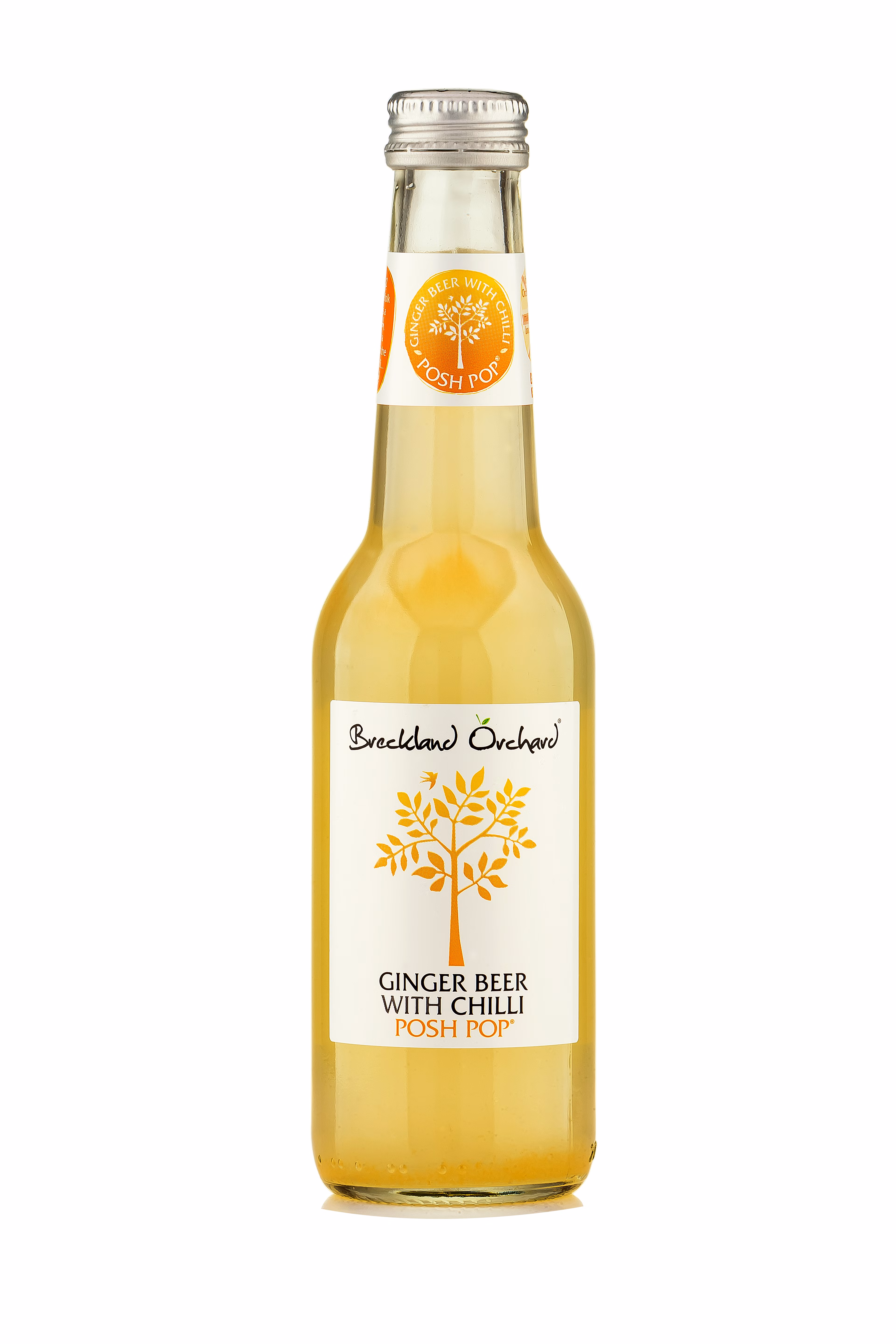 Breckland Orchard-Ginger Beer with Chilli